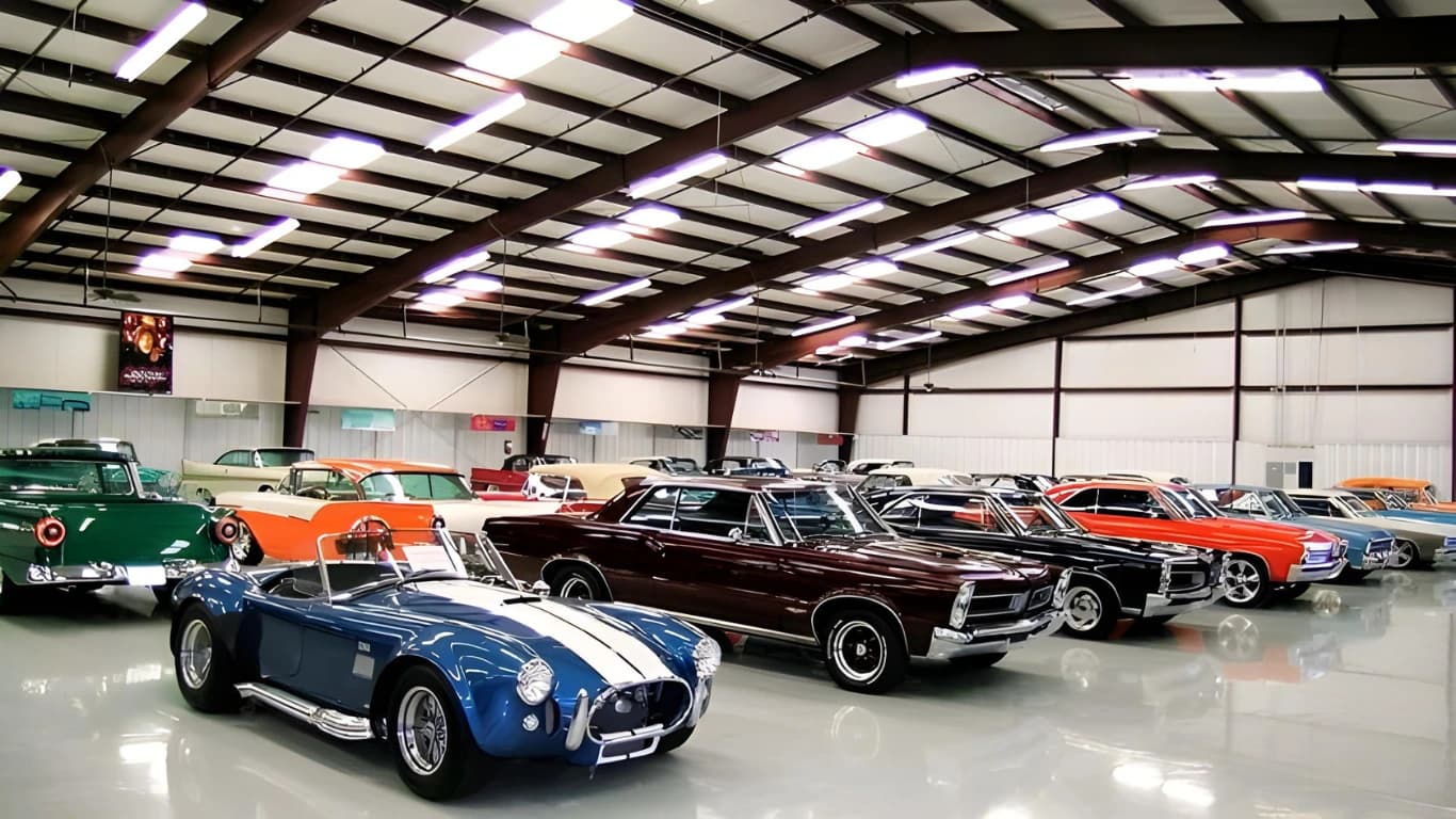 Professional Auto Transport Service