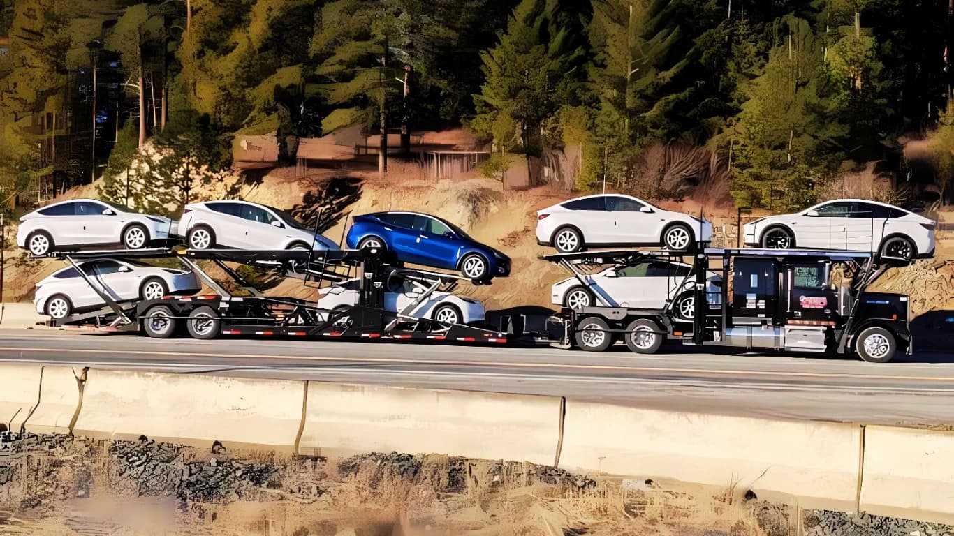 Professional Auto Transport Service